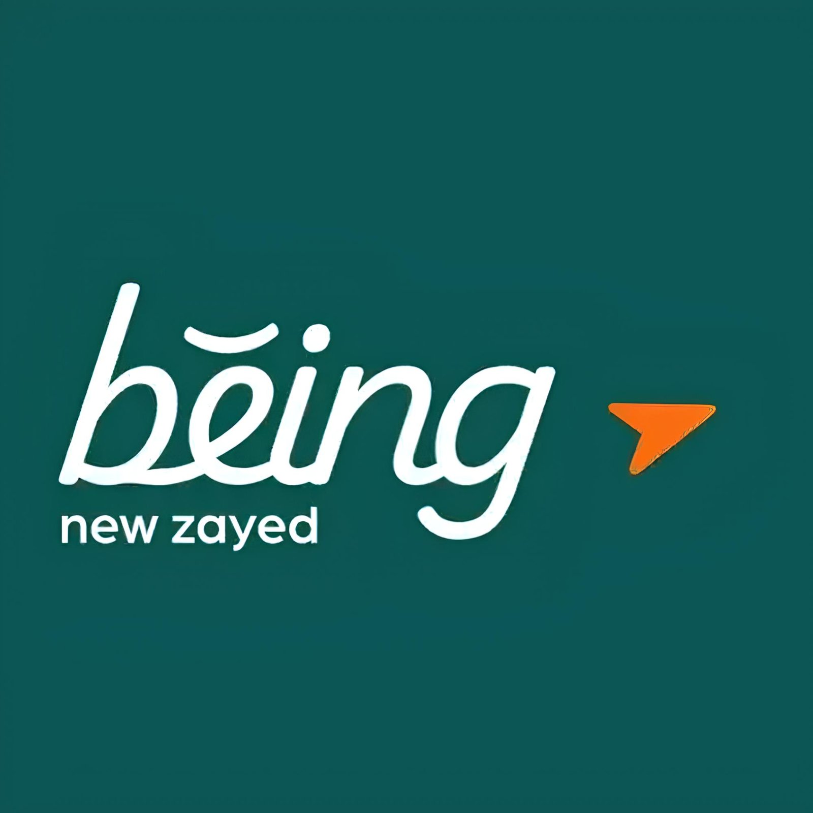 كمبوند بيينج زايد الجديدة 2025 – Being New Zayed