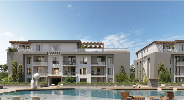 Direction White North Coast | Prices & Location 2026
