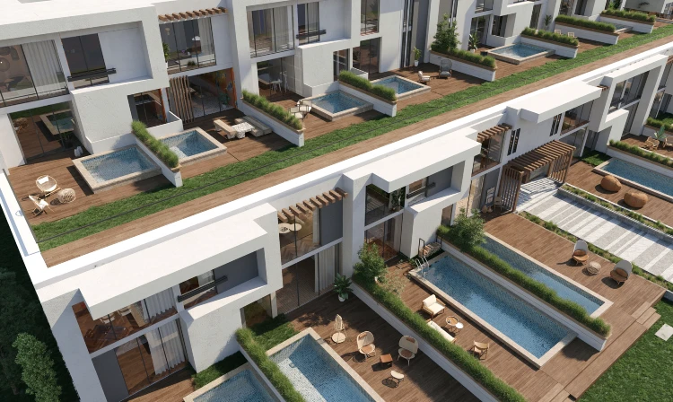 Direction White North Coast | Prices & Location 2026