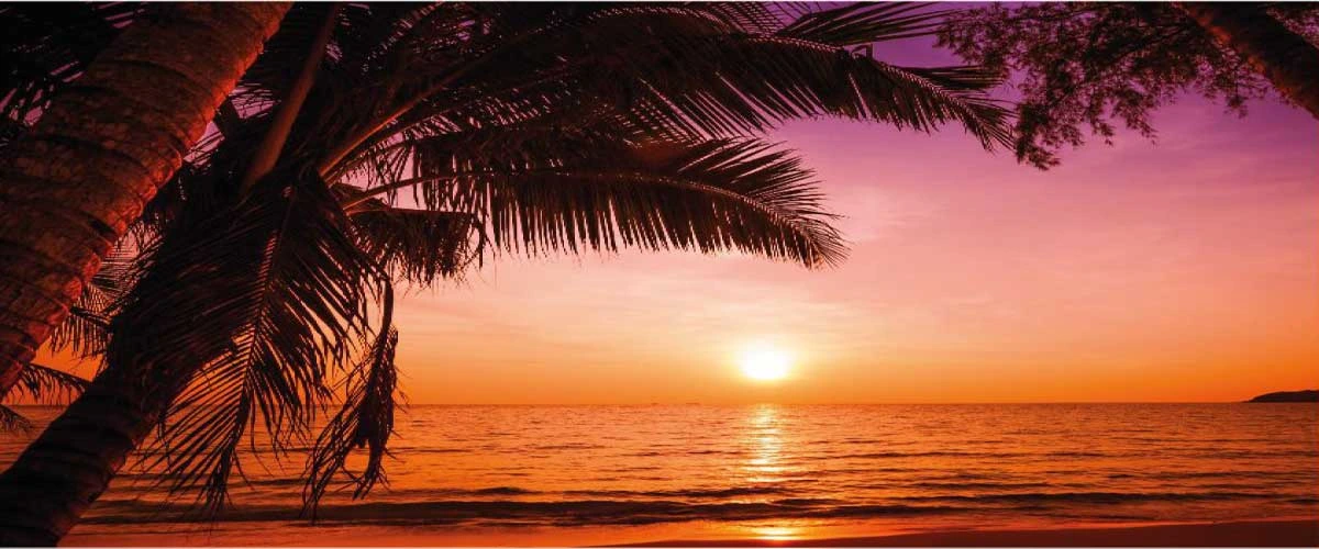 Cali Coast North Coast | Prices, Location & Payment Plans